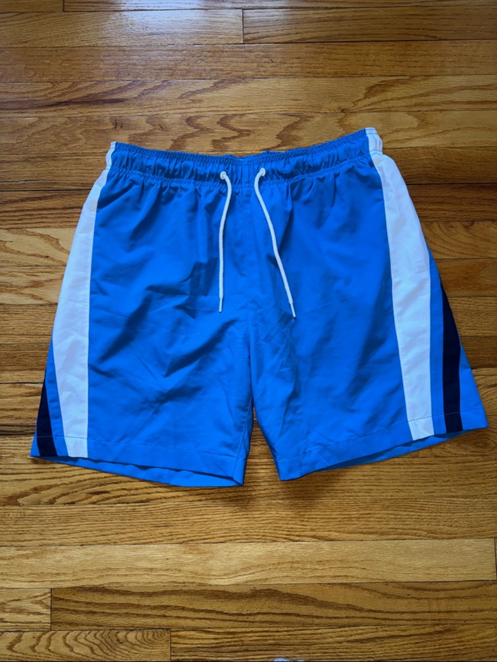 Men’s Speedo Swim Trunks Bright Blue Large